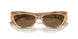610673 - Brown - Brown