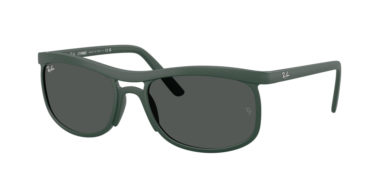 Ray-Ban 4452 Sunglasses