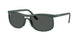 Ray-Ban 4452 Sunglasses