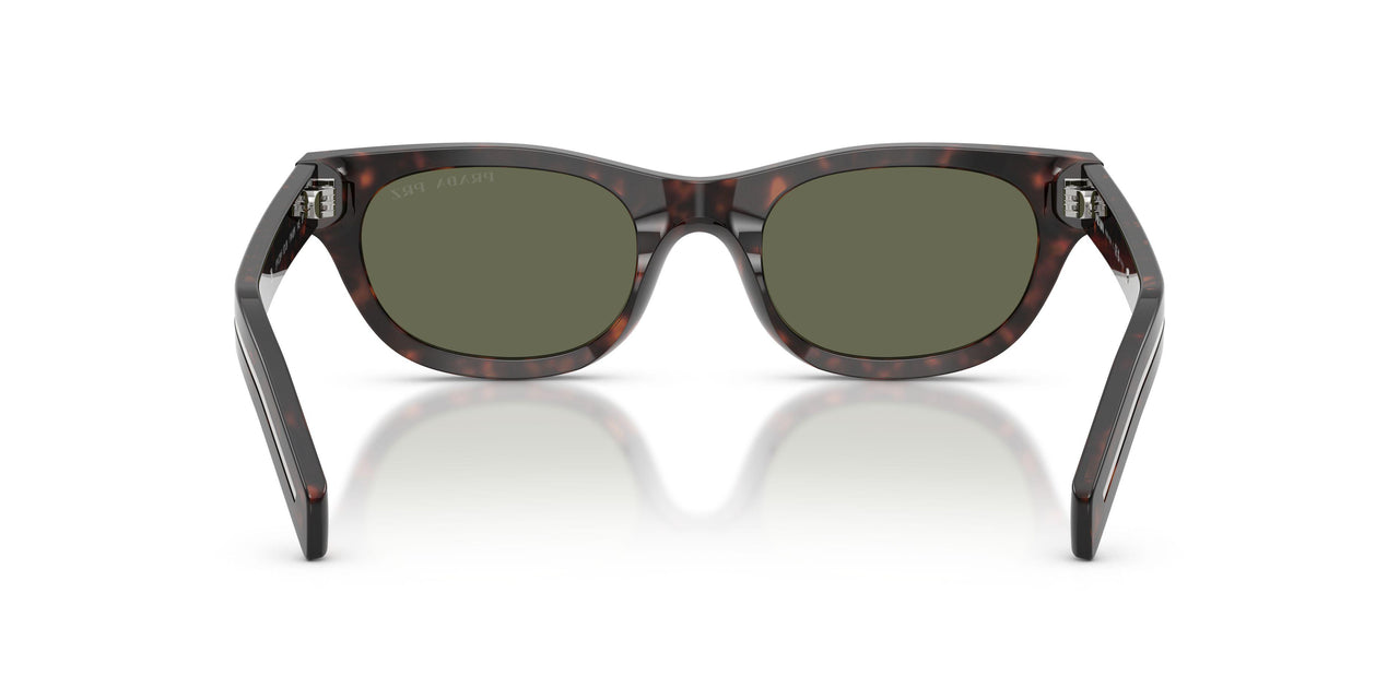 17N03R - Tortoise - Green Polarized