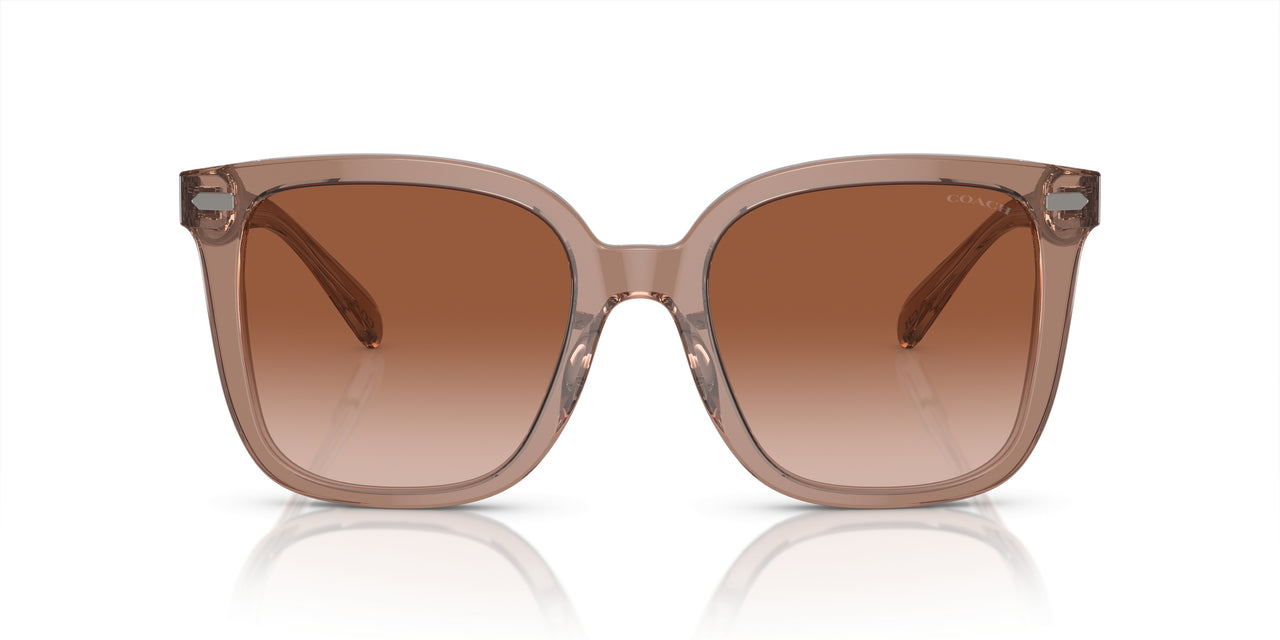 577913 - Brown - Brown Gradient