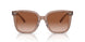 577913 - Brown - Brown Gradient
