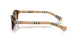 424313 - Brown - Brown Gradient