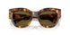14L09Z - Tortoise - Dark Brown