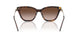 502613 - Tortoise - Brown Gradient