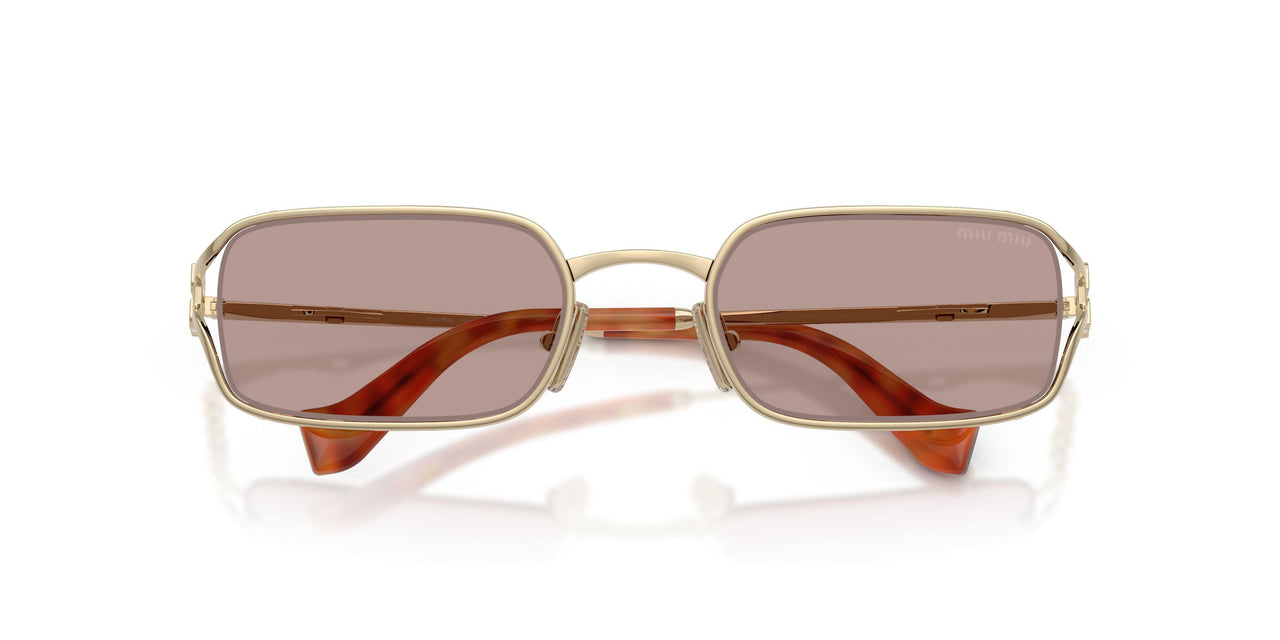 ZVN20I - Gold - Light Purple Brown