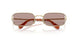 ZVN20I - Gold - Light Purple Brown
