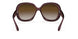 6593T5 - Brown - Grey Gradient Brown Polar