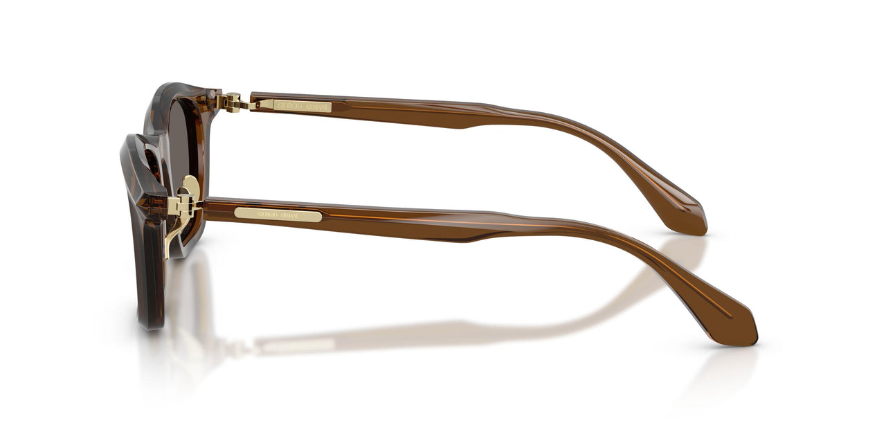 642453 - Brown - Dark Brown