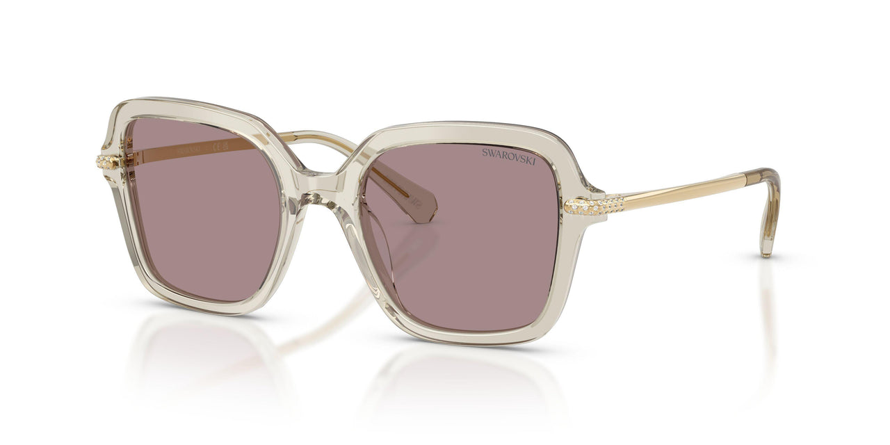 3003LA - Brown - Violet