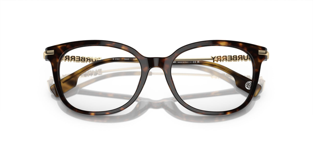 3002 - Brown