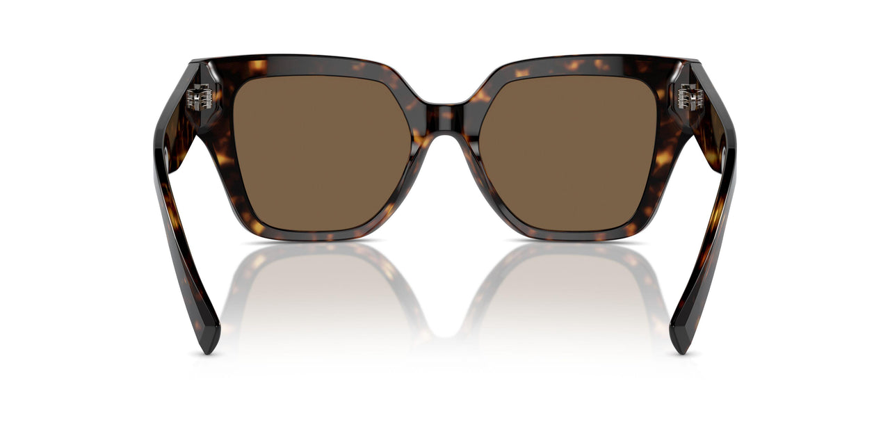 502/73 - Tortoise - Dark Brown