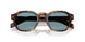 15W04D - Tortoise - Green Polar