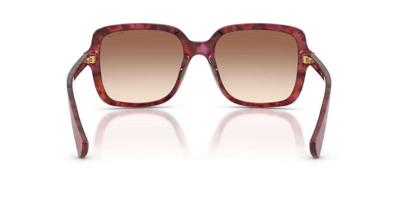 623913 - Violet - Light Brown Gradient