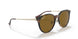 710/83 - Tortoise - Brown