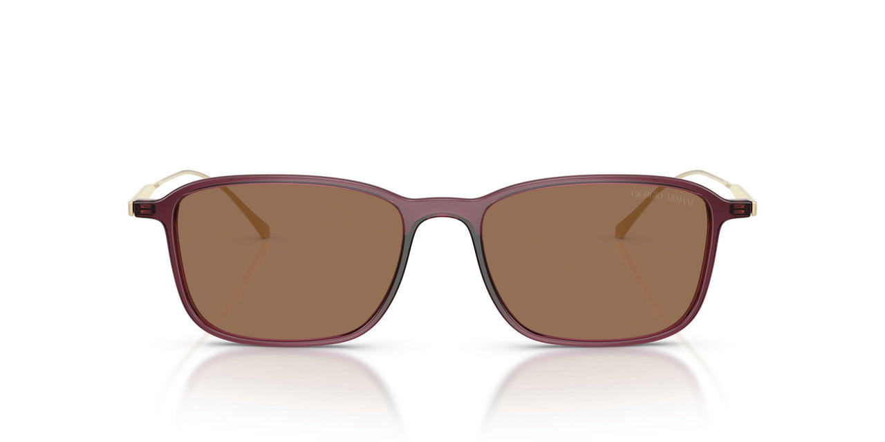 648773 - Red - Dark Brown
