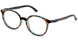 06 - BFLEX B-CREATIVE BLACK CAREY