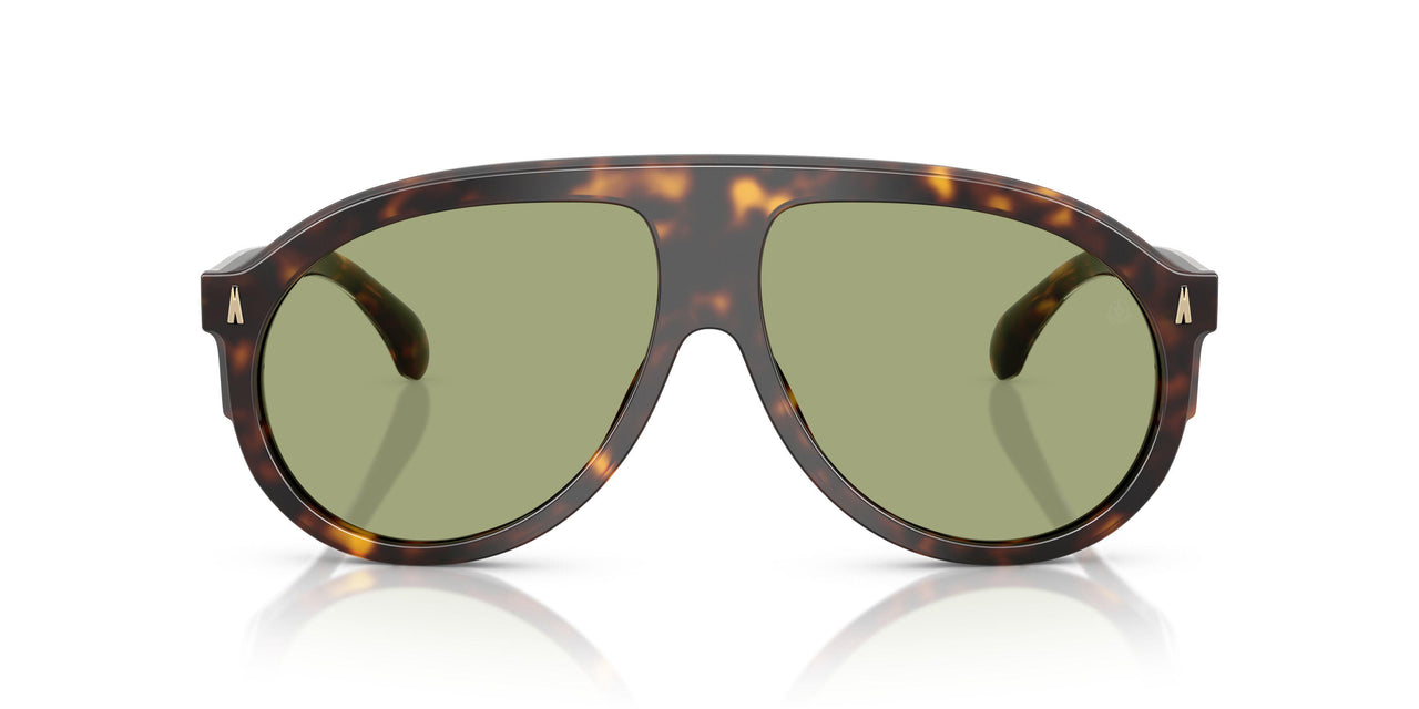 300282 - Tortoise - Green