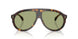 300282 - Tortoise - Green