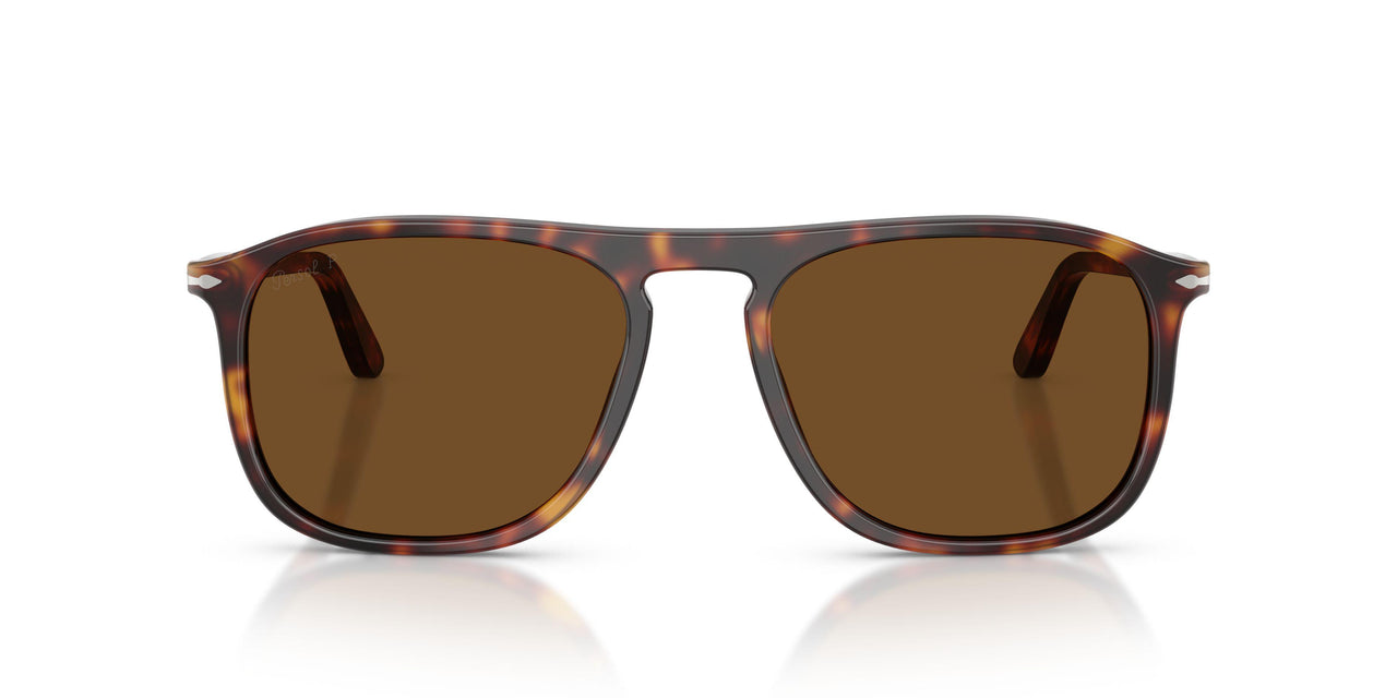 24/57 - Tortoise - Polar Brown