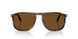24/57 - Tortoise - Polar Brown