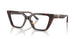 5026 - Tortoise