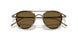 342973 - Gold - Dark Brown