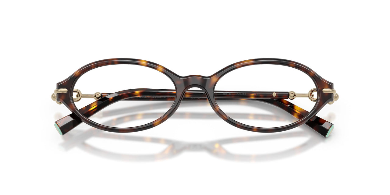 8015 - Tortoise