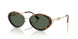 403171 - Tortoise - Green