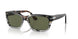 115958 - Brown - Green Polar
