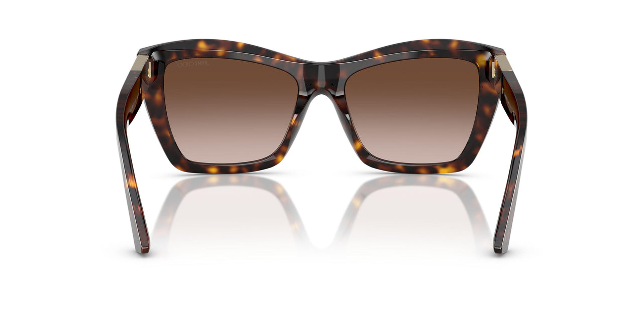 500213 - Tortoise - Gradient Brown