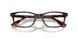 6137 - Tortoise