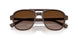 64511W - Brown - Clear