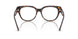 5002 - Tortoise