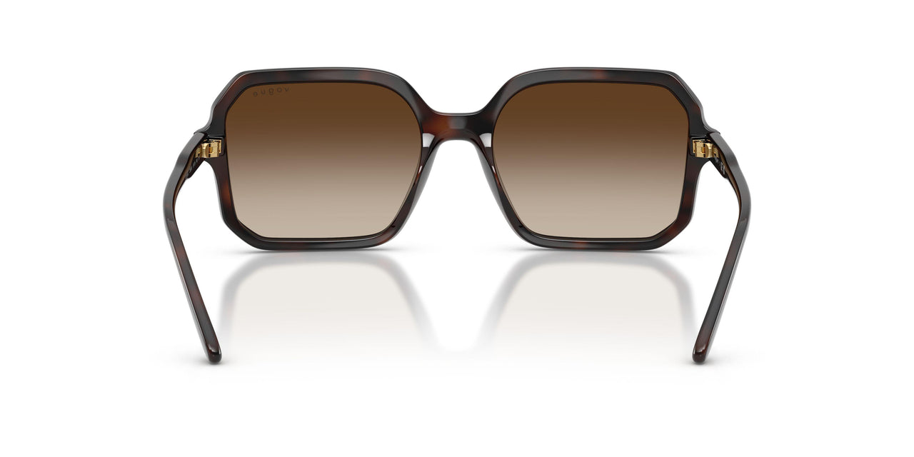 238613 - Brown - Brown Gradient