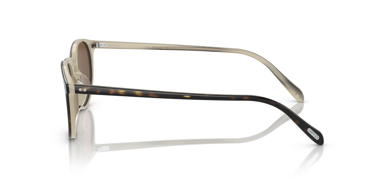 166657 - Brown - True Brown Polarized