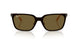 003/73 - Silver - Dark Brown