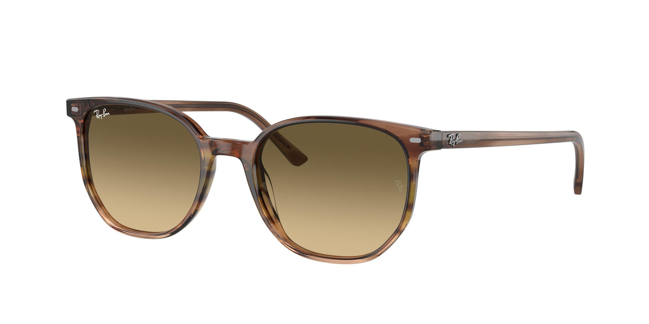 Ray-Ban Elliot 2197 Sunglasses