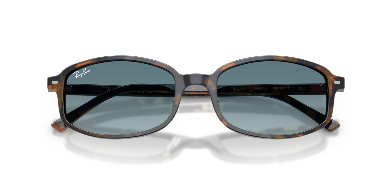 13563M - Tortoise - Blue Gradient Grey