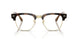 6928SB - Tortoise - Clear blue-violet Light Filter