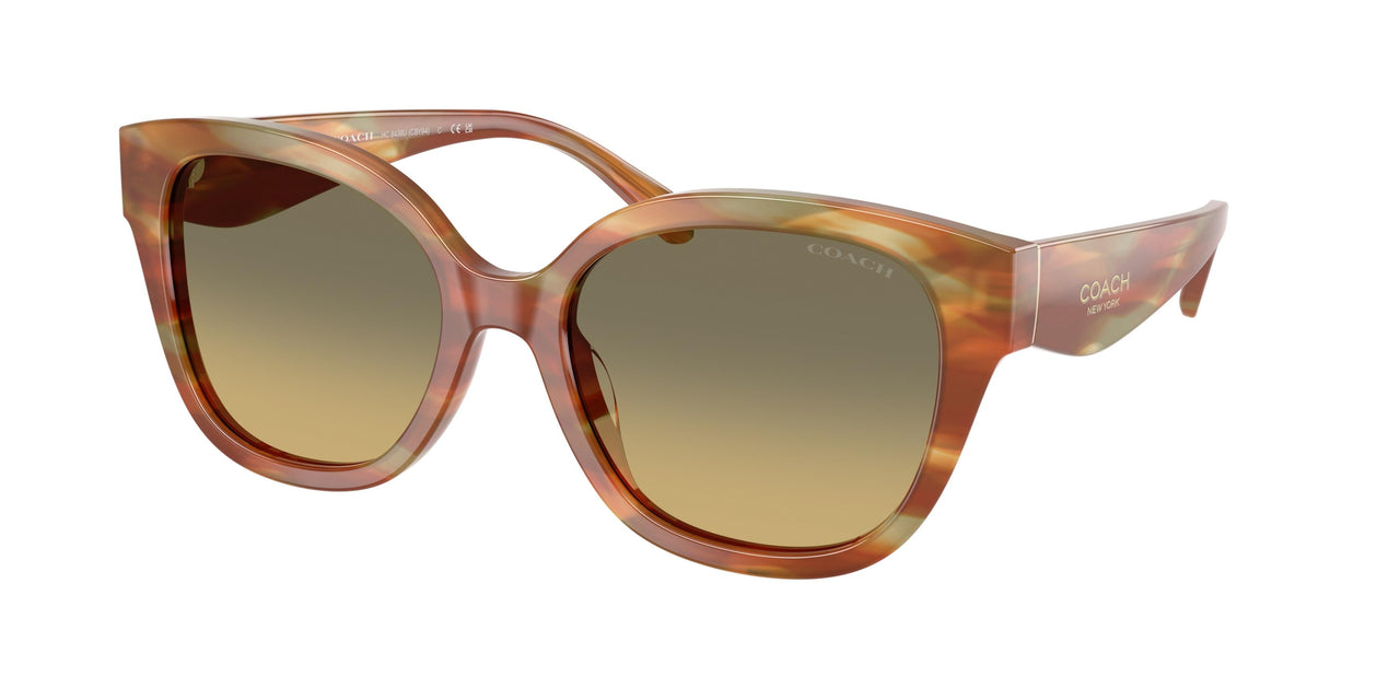 Coach Cby94 8438U Sunglasses