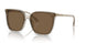 299873 - Brown - Dark Brown
