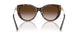 80153B - Tortoise - Brown Gradient