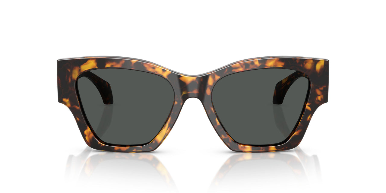 551487 - Tortoise - Dark Grey