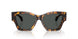 551487 - Tortoise - Dark Grey