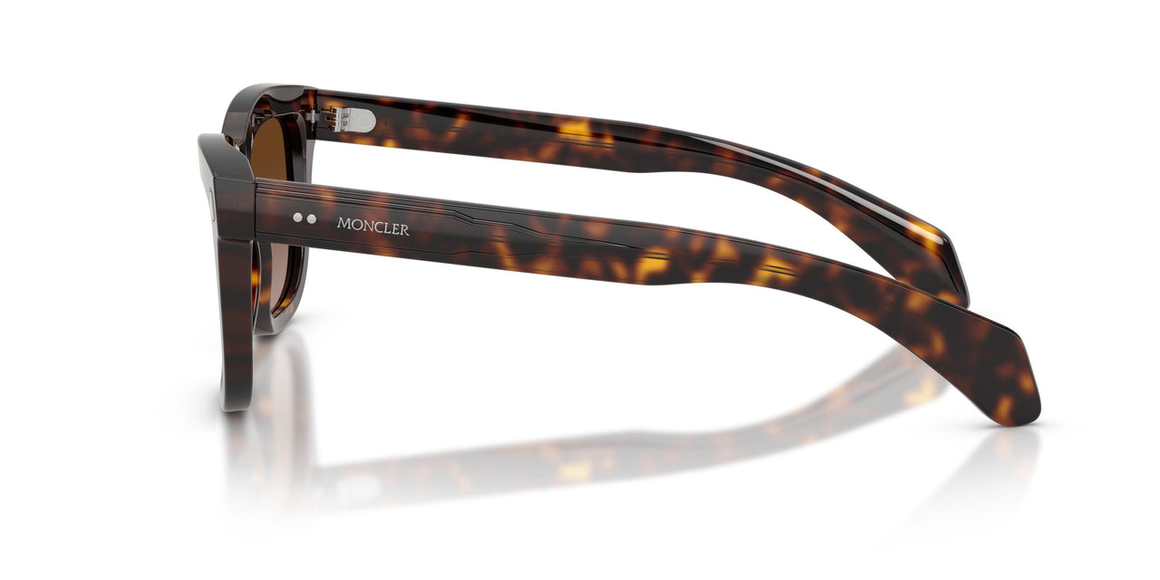 300213 - Tortoise - Gradient Brown