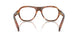 24G1O1 - Brown