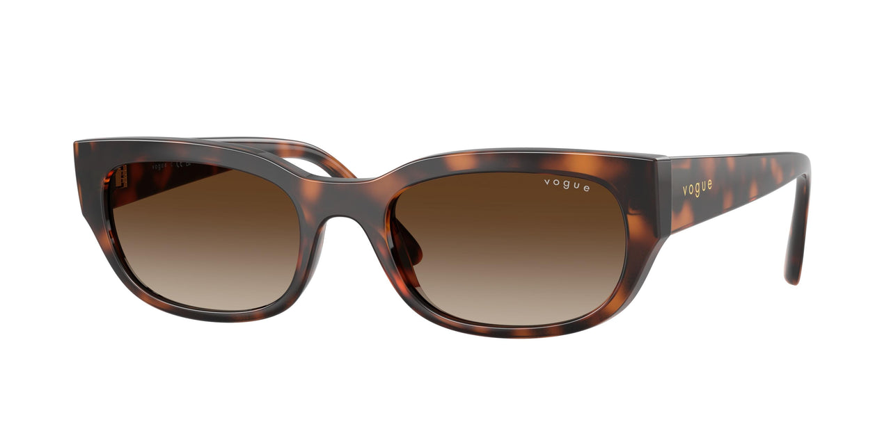 271813 - Brown - Gradient Brown