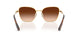 400774 - Yellow - Green Gradient Brown