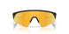 901513 - Black - Prizm 24k